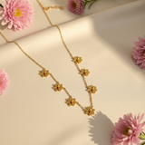 Elegant Stars
